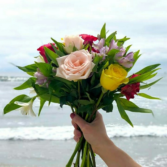 Meet your Posher, Elizabeth - Picture 1 of 1